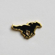 Mustang noir