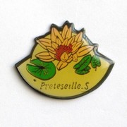 PrÃ©teseille.s