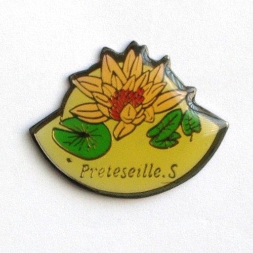 PrÃ©teseille.s