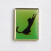 Chat noir