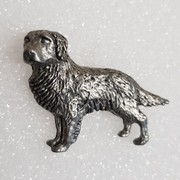 Chien
